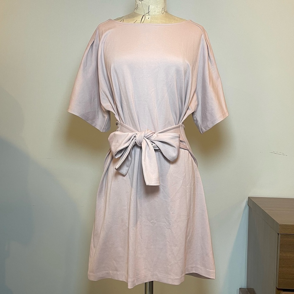 NEW Med Mauve Express Tie Front Waist Casual & Dressy Stretchy Mini Shirt Dress
